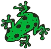 Grenouille Pierre Guillonneau